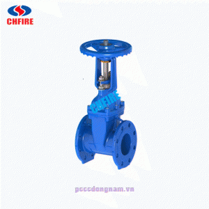 Van cổng 10 Os và y