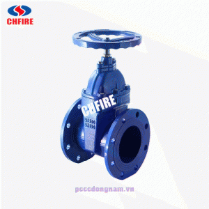Van cổng kiểu mặt bích NRS BS4504 ANSI150LB 