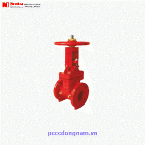 Newage Flange Gate Valve, Gate Valve