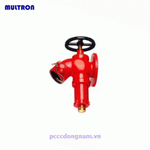 Van điều chỉnh áp suất Multron WRV-120 và WRV-121