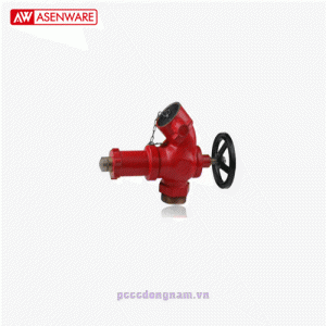 Van góc cấp nước chữa cháy điều chỉnh áp suất AW-PFV65 nối ren