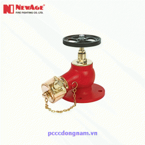 Van Góc Chữa Cháy Quay Xuống Kết Nối Mặt Bích HV-TD-GM