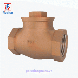 Van kiểm tra xoay bằng đồng Fivalco F5G20S