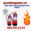 Naffco Foam Fire Extinguisher, Global Standard