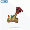 Bronze balancing valve,Van cân bằng Meiji