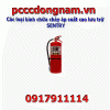 Types of SENTRY Storage High Pressure Fire Extinguishers
