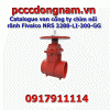 Catalogue van cổng ty chìm nối rãnh Fivalco NRS 3288-LI-300-GG