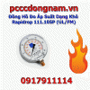 Đồng Hồ Đo Áp Suất Dạng Khô Rapidrop 111.10SP UL FM
