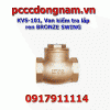 KVS-101, BRONZE SWING ren Threaded Check Valve