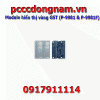 Module hiển thị vùng GST P-9981 và P-9981F