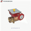 Bronze Butterfly Valve,GROOVED TYPE