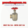 2.5 inch Brass Fire hydrant landing valve