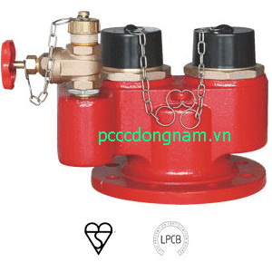 Họng tiếp nước chữa cháy 02 ngõ vào