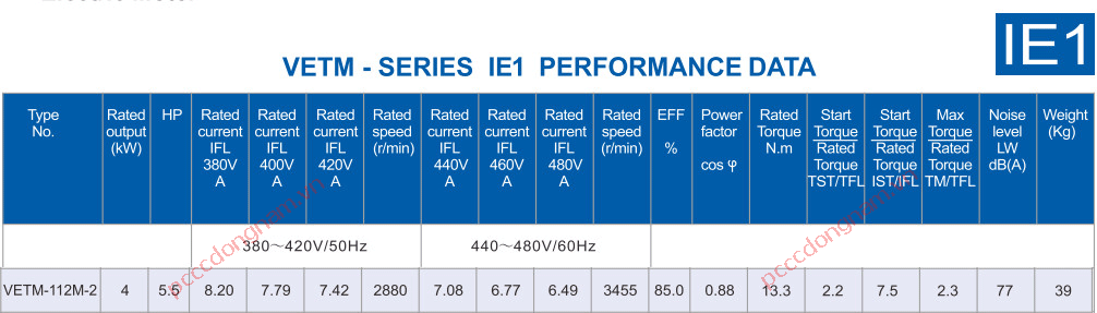 VERSAR PUMP VETM-112M-2