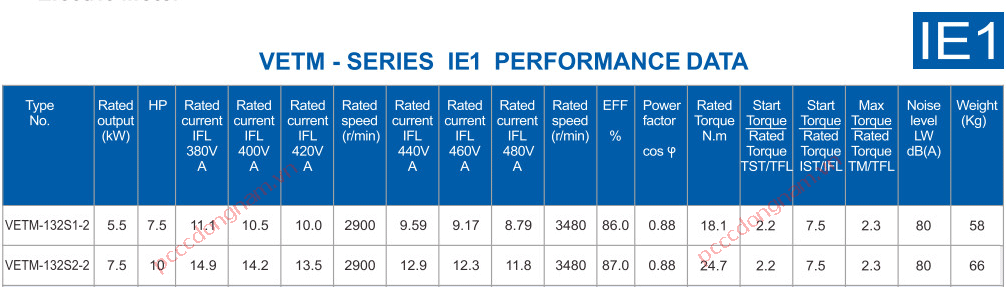 VERSAR PUMP VETM-123S1 - 132S2/2 VERSAR PUMP VETM-123S1 - 132S2/2