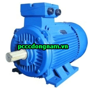 VERSAR PUMP VETM-63M1-2