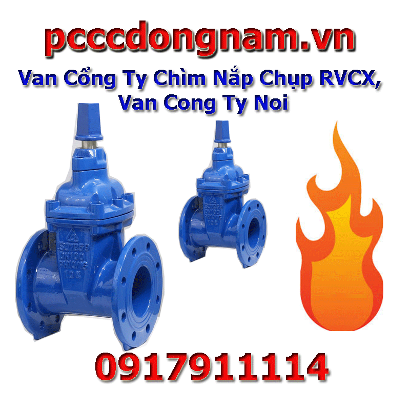 Van Cổng Ty Chìm Nắp Chụp RVCX, Van Cong Ty Noi