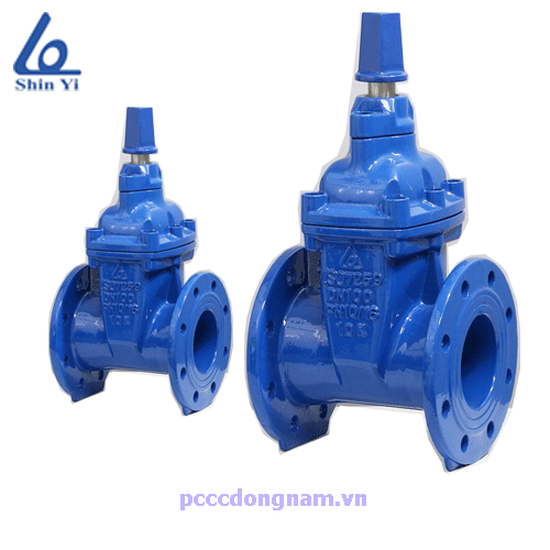 Van Cổng Ty Chìm Nắp Chụp RVCX, Van Cong Ty Noi