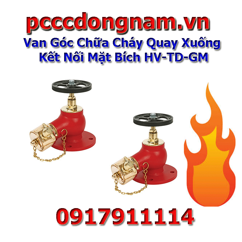 Van Góc Chữa Cháy Quay Xuống Kết Nối Mặt Bích HV-TD-GM, Van Chữa Cháy Bằng ĐỒng Newage
