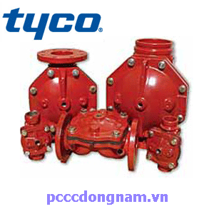 Van Xả Tràn DV5 D 50 Tyco - Kiểu nối ren D 50
