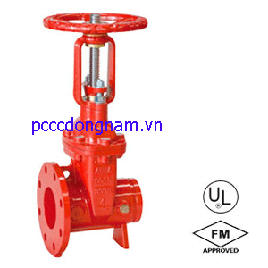 Van cổng, Van cổng nối mặt bích và rãnh NRS