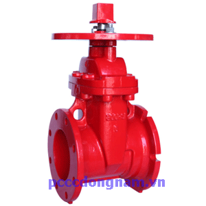 Van cổng Z45-300FJ