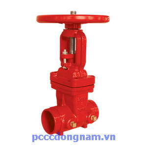 Van cổng ty nổi Z81 nối dạng rãnh