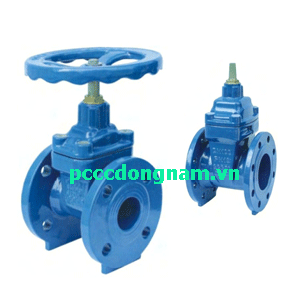 Van cổng ty nổi ty chìm mặt bích