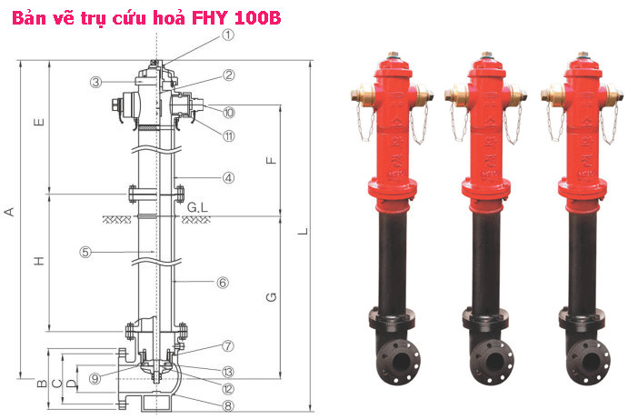 Fire hydrant FHY 100B Fasco