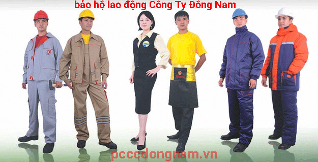 SStop Korean safety helmets