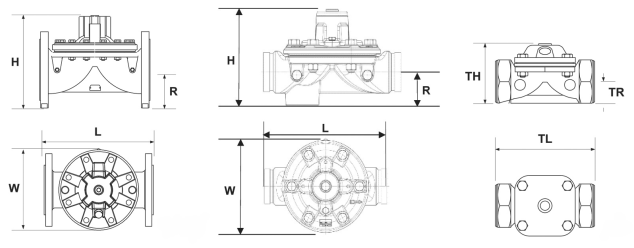 Van một chiều Aquestia Series 100