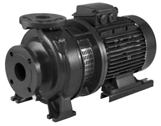 Máy bơm điện, Máy bơm chữa cháy Ebara 3DS