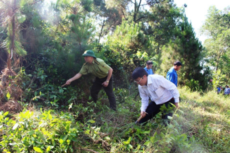 Hot weather threatens forests in Ha Tinh