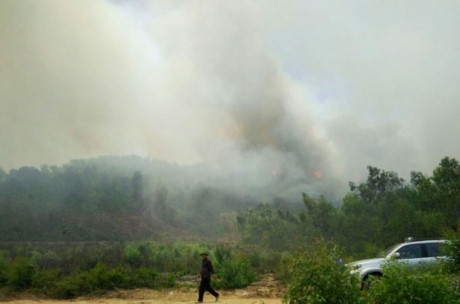 Nắng nóng, liên tiếp xảy ra cháy rừng ở Nghệ An