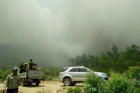 Chính quyền xã Diễn Đoài, huyện Diễn Châu đã huy động hàng trăm người đến hiện trường để dập lửa cứu rừng